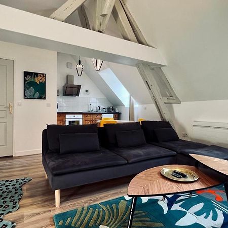 Rhizhome - Coeur De Ville, Appartement Spacieux Auxerre Dış mekan fotoğraf
