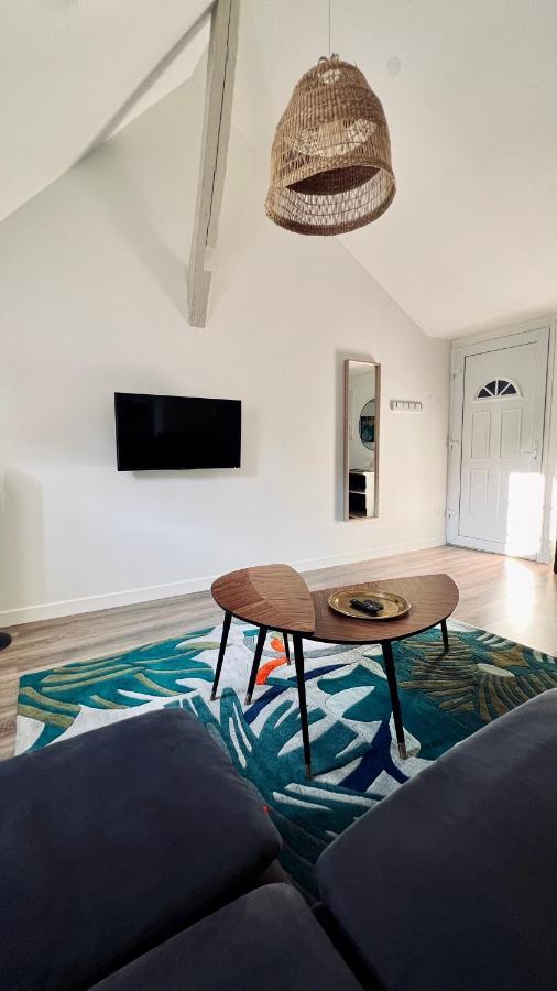 Rhizhome - Coeur De Ville, Appartement Spacieux Auxerre Dış mekan fotoğraf