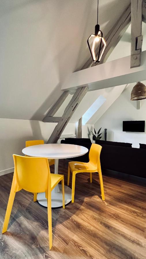 Rhizhome - Coeur De Ville, Appartement Spacieux Auxerre Dış mekan fotoğraf