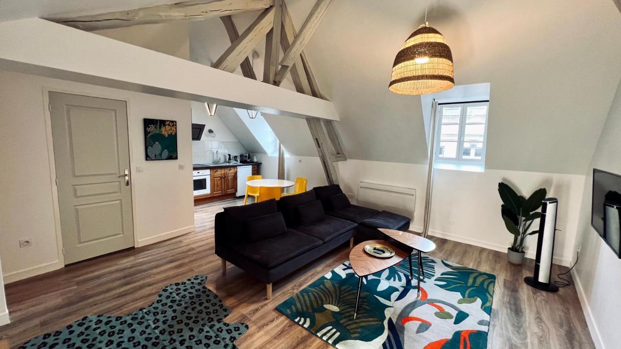 Rhizhome - Coeur De Ville, Appartement Spacieux Auxerre Dış mekan fotoğraf
