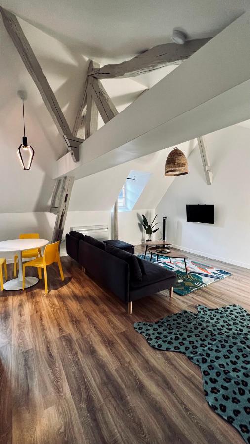 Rhizhome - Coeur De Ville, Appartement Spacieux Auxerre Dış mekan fotoğraf